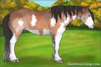 Horse Color:Brown Splash 