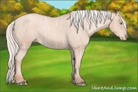 Horse Color:Silver Classic Champagne Ice Appaloosa 