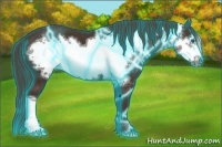 Horse Color:Thunderstruck Liver Chestnut Frame 