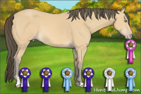 Horse Color:Amber Cream Champagne Sabino 
