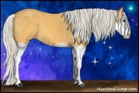 Horse Color:Silver Buckskin Splash 