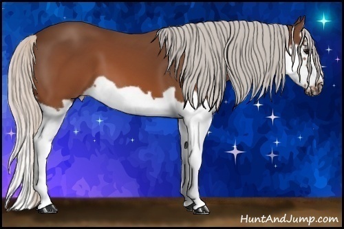 Horse Color: Silver Brown Splash Frame 