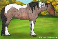 Horse Color:Bay Roan Tobiano 