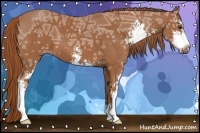 Horse Color:Chestnut Ice Sabino 