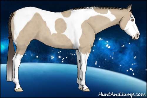 Horse Color: Classic Champagne Dun Splash Tobiano 