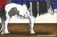 Horse Color:Grullo Splash Tobiano 
