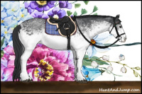 Horse Color:White Spotted Black 