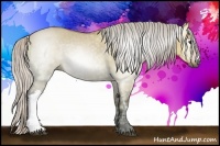 Horse Color:Gray Silver Bay Ice Dun 