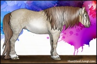 Horse Color:Gray Red Dun Ice 