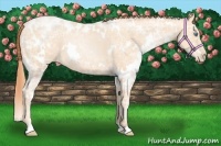 Horse Color:White Spotted Amber Champagne Ice Pearl