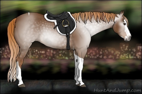 Horse Color:Gray Chestnut Splash Tobiano 