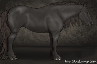 Horse Color:Liver Chestnut Frame 