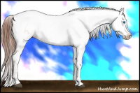 Horse Color:Liver Chestnut Frame 