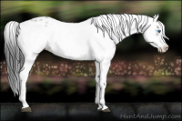 Horse Color:Black Frame 