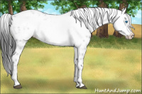 Horse Color:Black Frame 