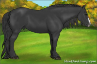 Horse Color:Brown Frame 