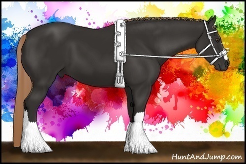 Horse Color: Liver Chestnut 