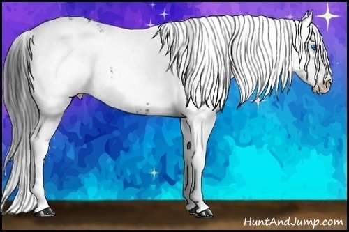Horse Color: Brown Tobiano Frame 