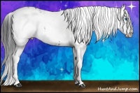 Horse Color:Brown Tobiano Frame 