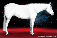 Horse Color:Black Frame 