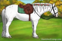 Horse Color:Liver Chestnut Frame 