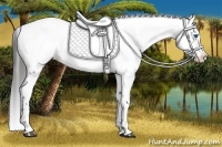 Horse Color:Liver Chestnut Frame 