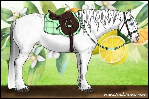 Horse Color:Black Frame