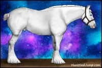 Horse Color:White Spotted Liver Chestnut Frame 