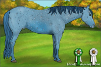 Horse Color:ERROR: UNKNOWN ANOMALY