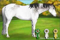 Horse Color:White Spotted Bay Tobiano 