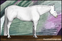 Horse Color:Black Frame 