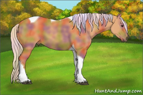Horse Color: Nacre Chocolate Palomino Tobiano 