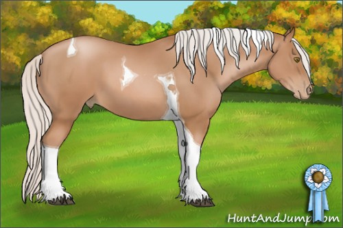 Horse Color: Silver Bay Pearl Tobiano 