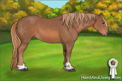 Horse Color: Liver Chestnut Sabino 