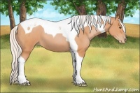 Horse Color:Silver Bay Pearl Tobiano 