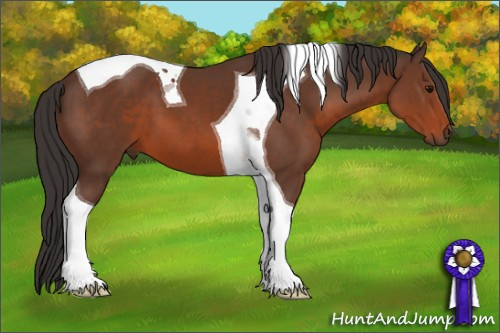 Horse Color: Brown Tobiano 