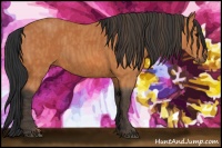 Horse Color:Bay  Brindle