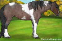 Horse Color:Bay Roan Tobiano Frame 