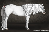 Horse Color:Liver Chestnut Frame 