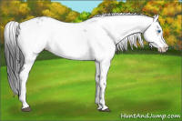 Horse Color:Black Frame 