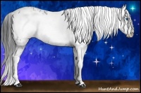 Horse Color:Black Frame 