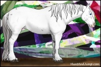 Horse Color:Liver Chestnut Frame 