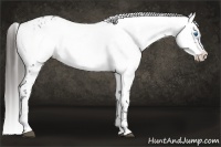 Horse Color:Liver Chestnut Frame 