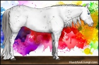 Horse Color:Liver Chestnut Frame 