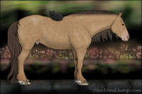 Horse Color:Sable Cream Champagne 