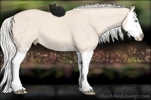 Horse Color:Cremello Splash