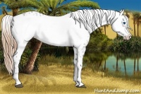 Horse Color:Liver Chestnut Frame 