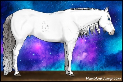 Horse Color: Liver Chestnut Frame 