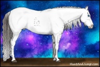 Horse Color:Liver Chestnut Frame 