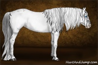 Horse Color:Black Frame 